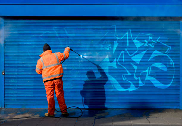 Best Best Pressure Washing Companies  in Sandwich, IL
