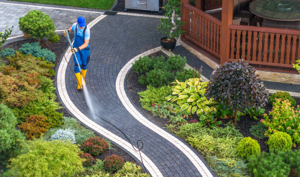 Best Pressure Washing Company Near Me  in Sandwich, IL